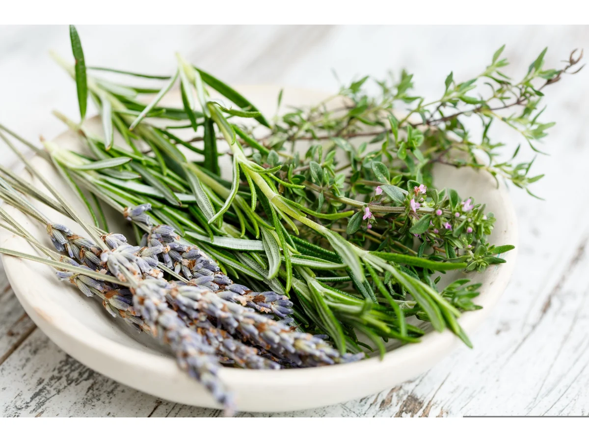 herbs