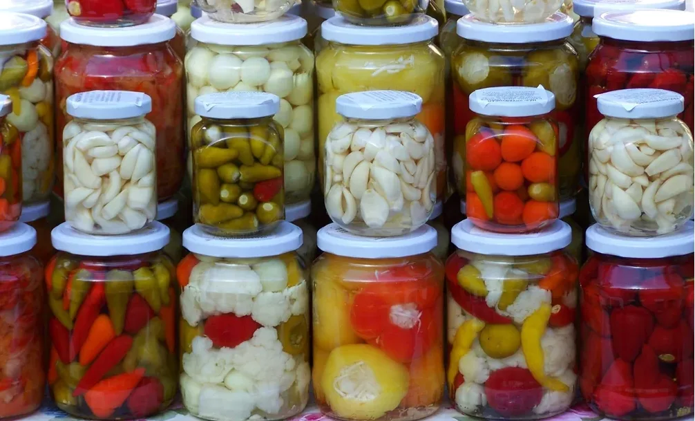 torshi-pickles