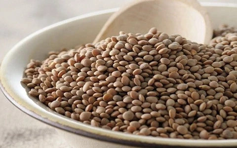 Linsen Iran 400 g