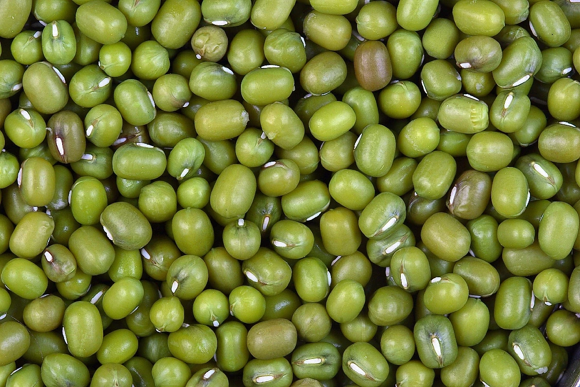 Mungbohnen Iran 400 g