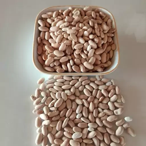 Weiße Bohnen Iran 400 g