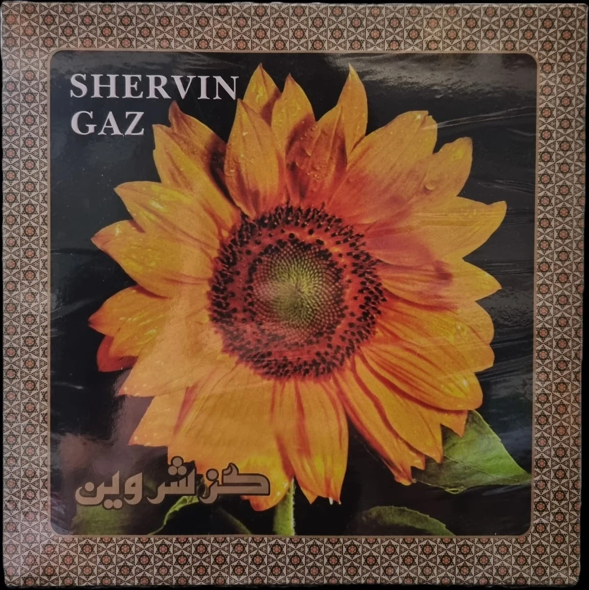 Shervin Gaz 450 g