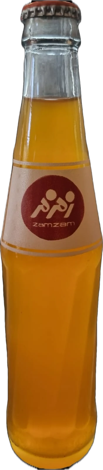 Zamzam Orangenlimonade 250 ml