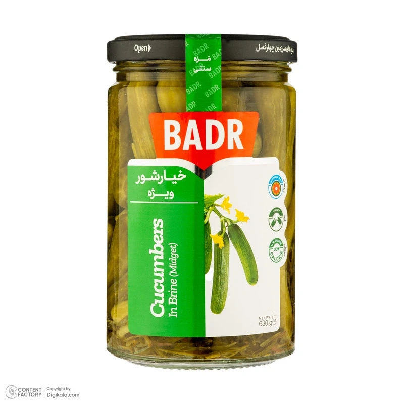 Spezial-Gewürzgurken Badr 630 g